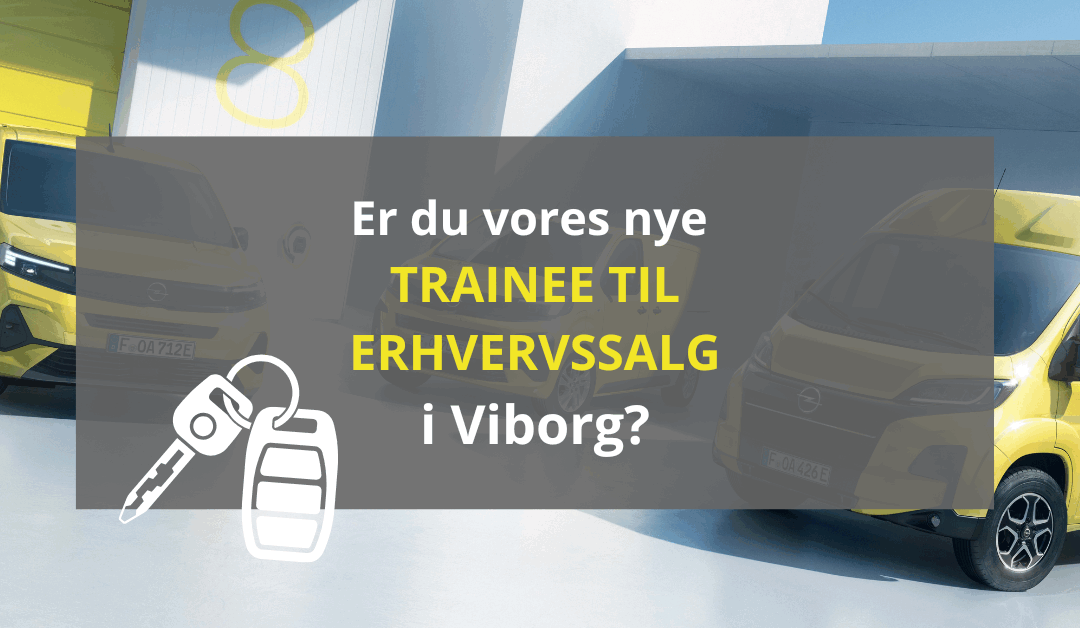 trainee til erhvervssalg